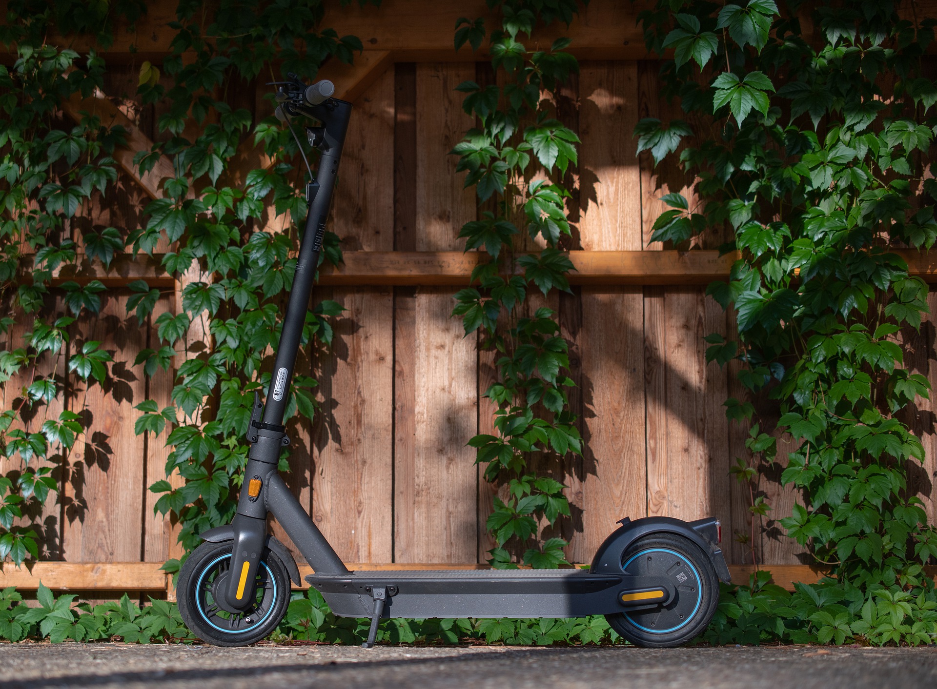 Elektro Scooter Trend in der Schweiz